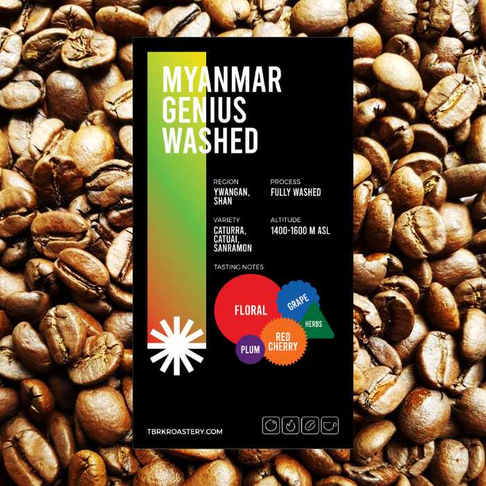 myanmar genius wash
